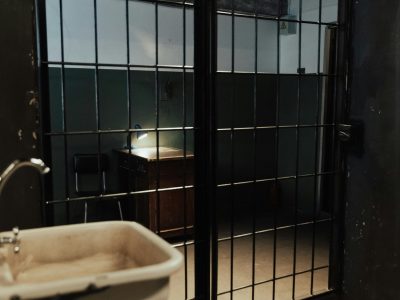 pexels-ron-lach-10474995